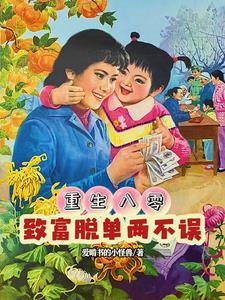 重生八零开启逆天人生