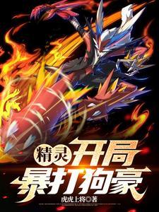 精灵宝可梦火系