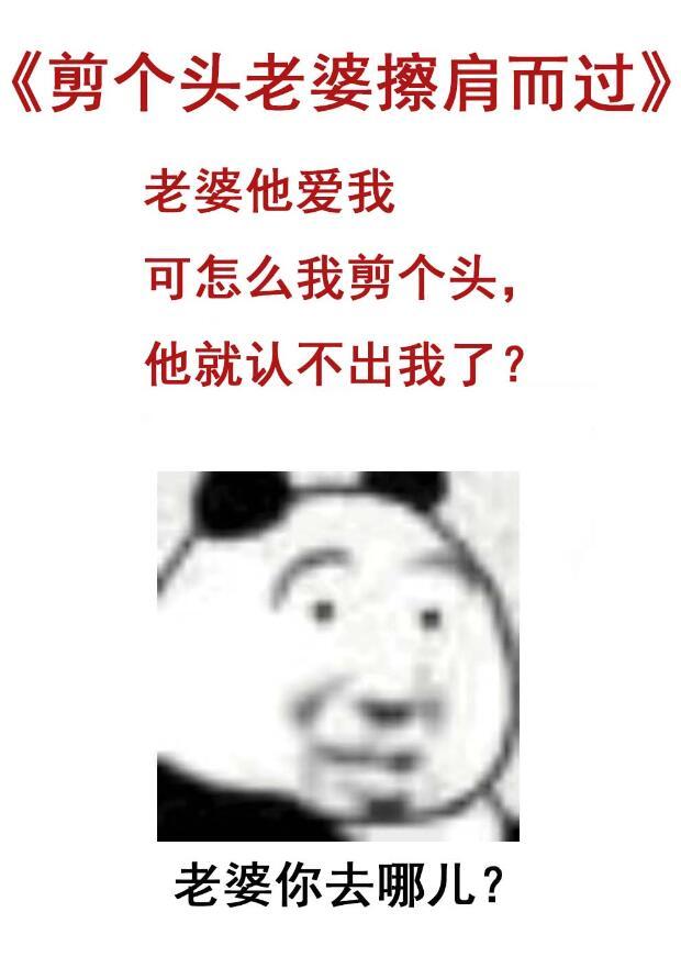 剪个头老婆擦肩而过完结了吗