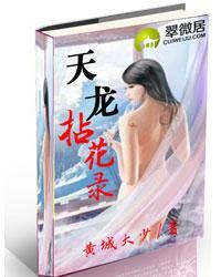 天龙拈花录真天龙无双