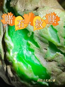 毛料是什么意思?