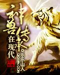 神兽是不是传销