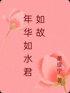 年华似水啥意思