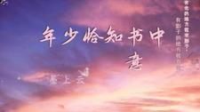 恰似少年时是什么意思