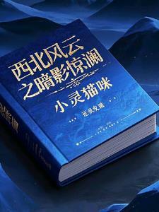 西北风云电影在线观免费观看