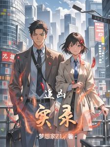 追凶录像