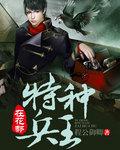 特种兵王在都市全文阅读
