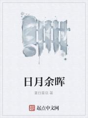 日月共辉是什么意思
