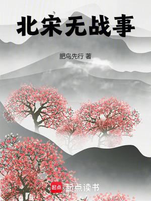 北宋失败战役