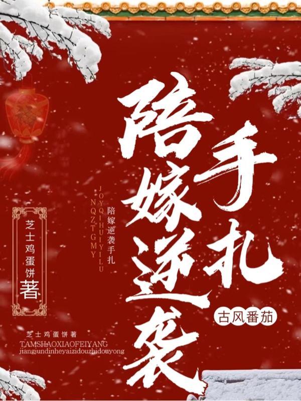 陪嫁 番外