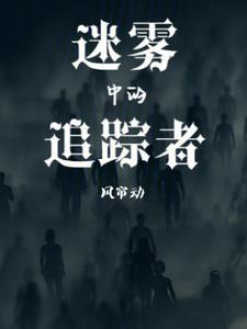 迷雾追踪故事