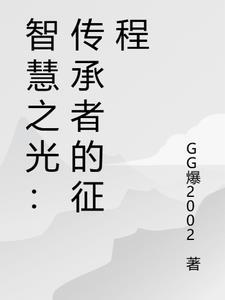 智慧之光管理咨询