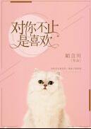 对你不止是喜欢你