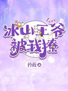 冰山王爷的男妃