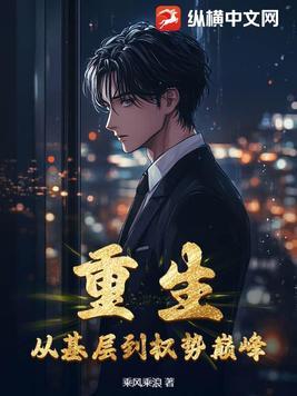从基层登顶的官场官