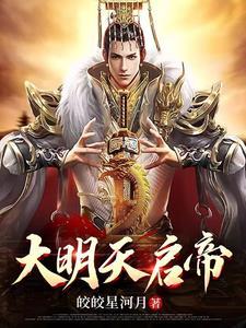 大明天启帝的儿子全文