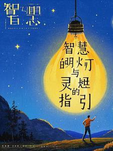 智慧的灯作文500字