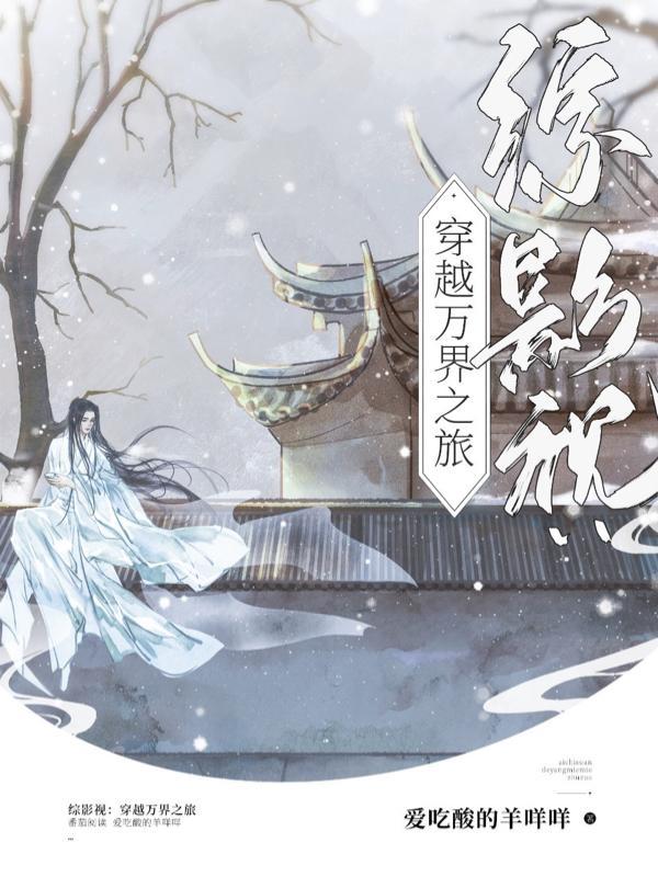 穿越综影视含