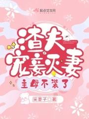 主母不装了免费阅读