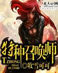 特殊召唤系统