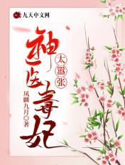 风流王爷求入赘