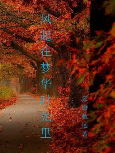 风在起时剧情