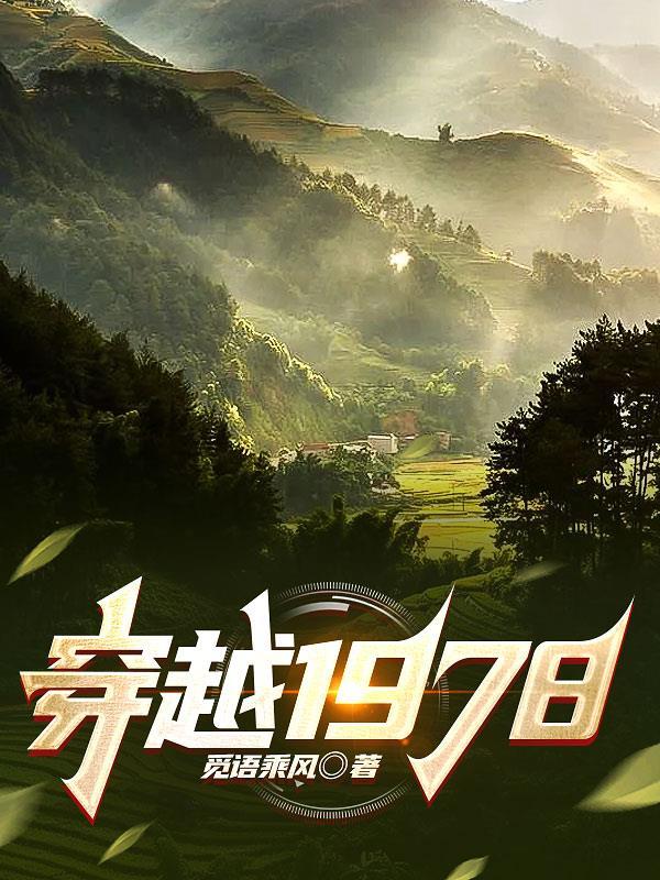 穿越1978林无忌剧情