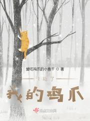 谁动了我的鸡我是迷