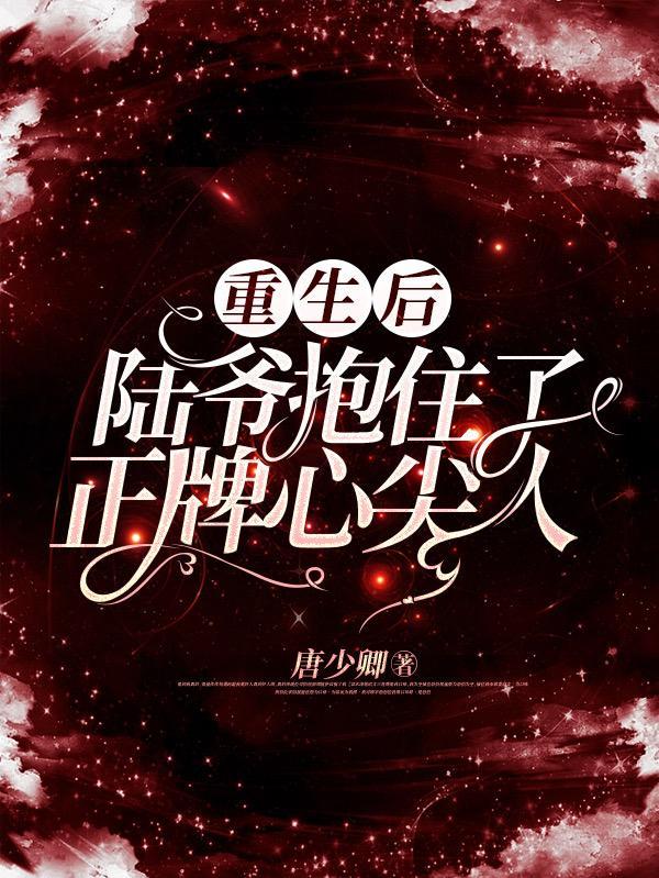 重生陆爷请再宠我一次