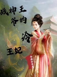 冷王的宠妻日常