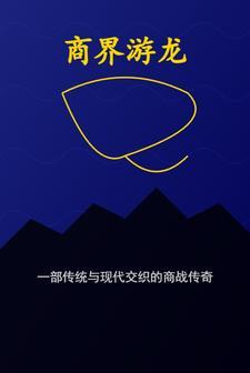 游龙网络科技有限公司