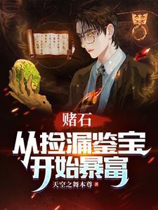赌石鉴宝捡漏类