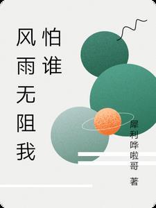 风雨无阻我怕谁什么歌