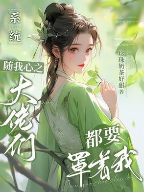 系统之随心所随