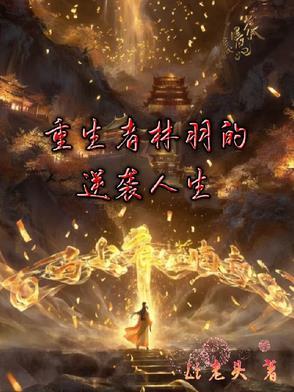 主人公是林羽的重生之神医