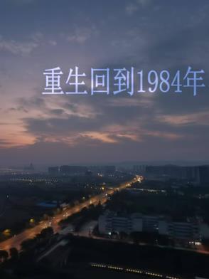 重生回到1984沈林