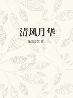 清风月影啥意思