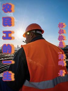 农民工的一生 文学作品
