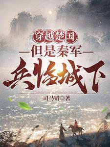 穿越到楚汉时期的