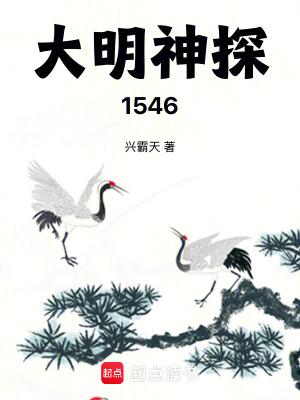 大明第一神探