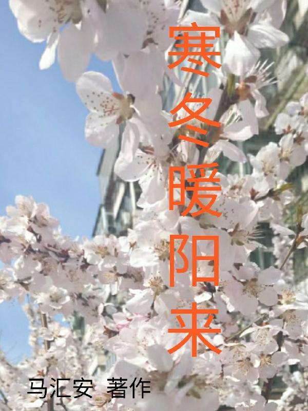 暖阳与寒冬