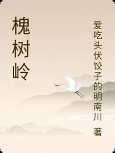 槐树岭王家