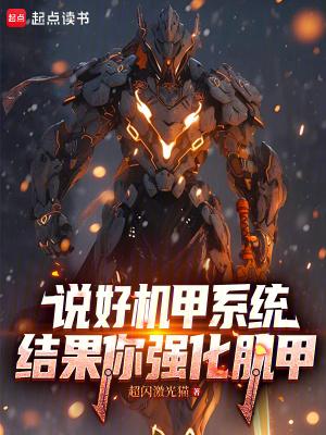 机甲功能的介绍