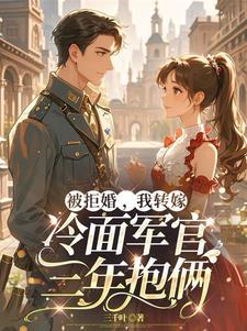 闪婚闪嫁军人