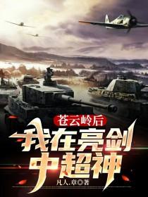 开局苍云岭