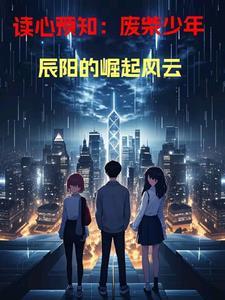 辰阳电子有董事长