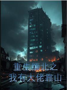 重生到缅甸建国的