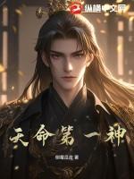 天命神相 百科