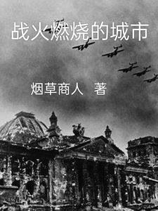 战火中燃烧的青春电视剧全集