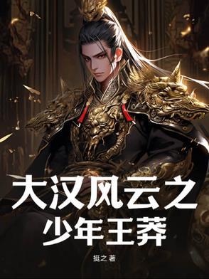 大汉风云7
